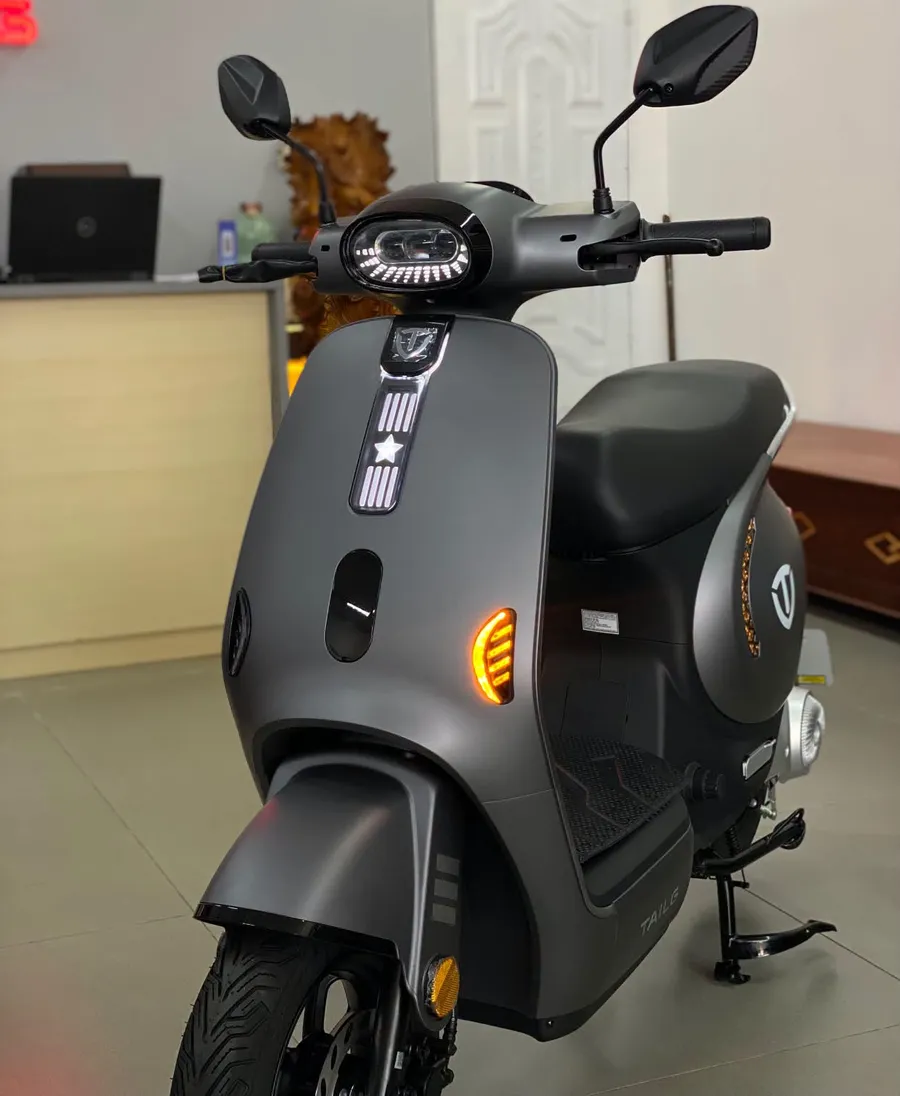 Xe Điện Tailg GR58 | Nhạn Hùng