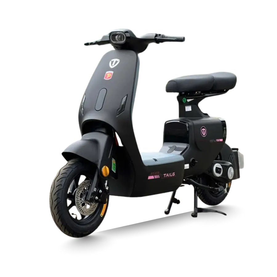 Xe đạp điện Tailg GR55 Plus