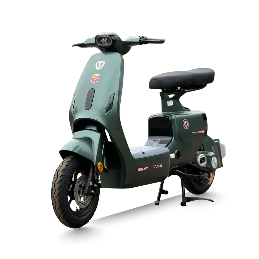 Xe đạp điện Tailg GR55 Plus