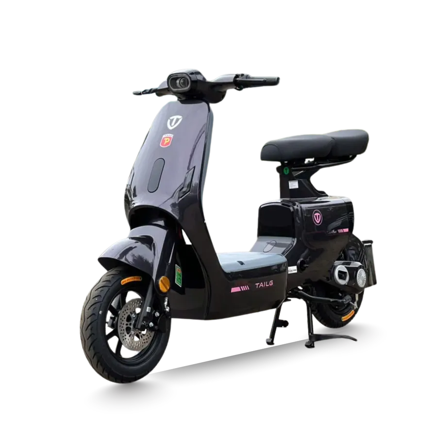 Xe đạp điện Tailg GR55 Plus