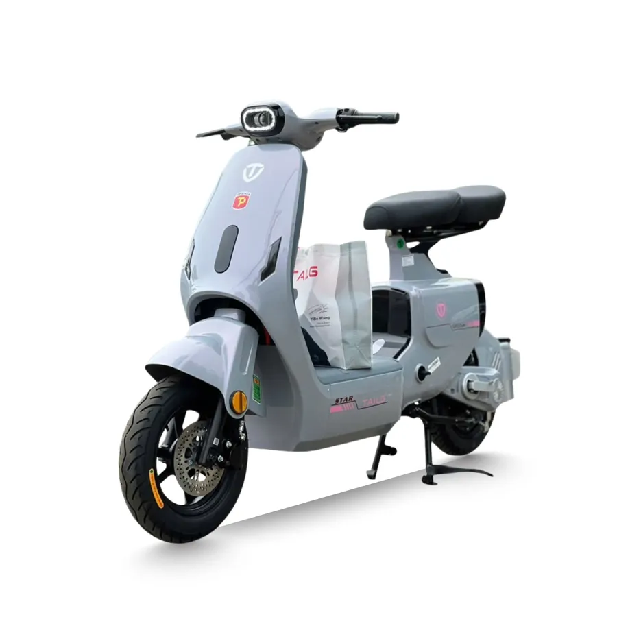 Xe đạp điện Tailg GR55 Plus