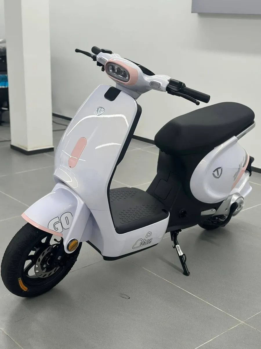 Xe Đạp Điện Tailg GR56 | Nhạn Hùng
