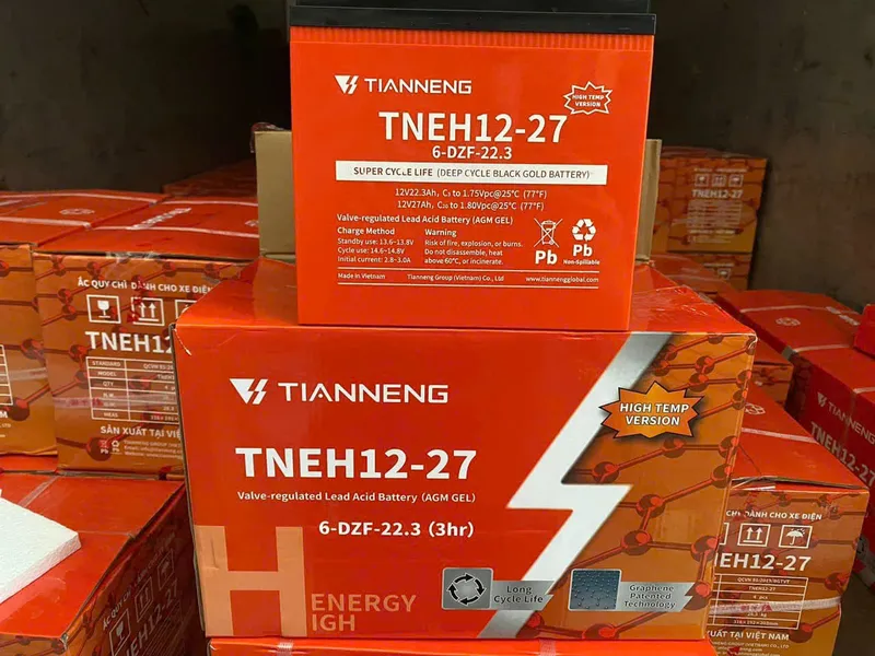 Ắc quy Xe Đạp Điện Tailg GR56 | Nhạn Hùng